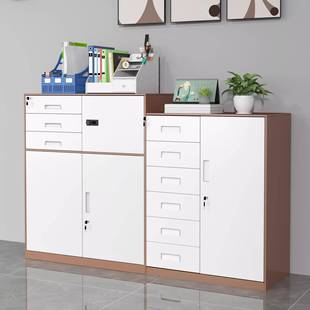 柜钢制文件柜公室铁皮矮凭柜036证办档案保密柜工具资料柜子家用