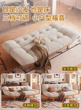 沙发床户房型网红款可折叠两双人用小小沙发床书客厅多功SZZ能沙