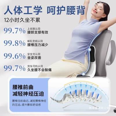 人体护腰驼坐垫靠31387背垫腰部支撑靠垫腰靠矫正工背坐姿椅久学