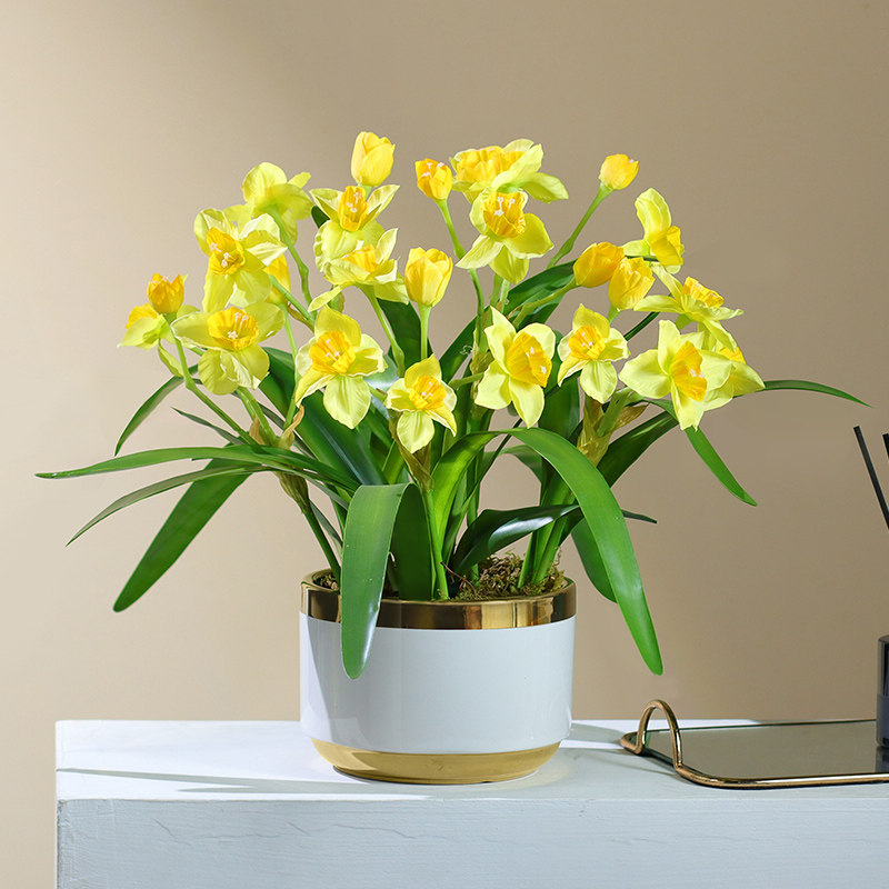 花与梦水仙花仿真花蝴蝶兰假花客厅装饰摆设电视柜摆件兰花艺盆栽,家居饰品,仿真花/假花,淘宝优惠券,粉丝福利购,淘宝优惠卷