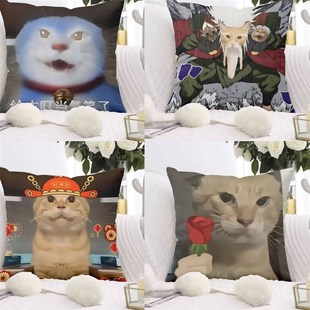 哈基米圆头耄耋爱猫TV键帽豪猫哈气棘背龙燃尽瞭创意座垫抱枕豪猫