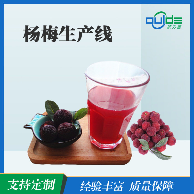 全自动生产线 大小型果汁果酱饮料橙汁生产线 杨梅生产线 榨汁,清洗/食品/商业设备,食品搅拌机,淘宝优惠券,粉丝福利购,淘宝优惠卷