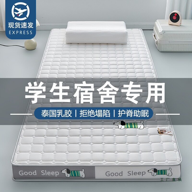 乳胶床垫遮盖物软垫家用打地铺睡垫褥子学生宿舍单人地铺海绵垫子
