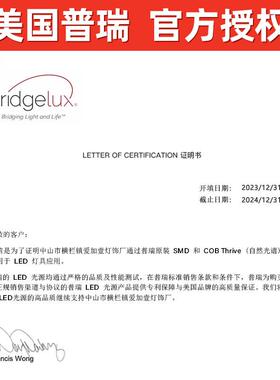 极简超代室薄客厅现大气创意l665ed长形卧书房普瑞顶护眼芯片吸灯