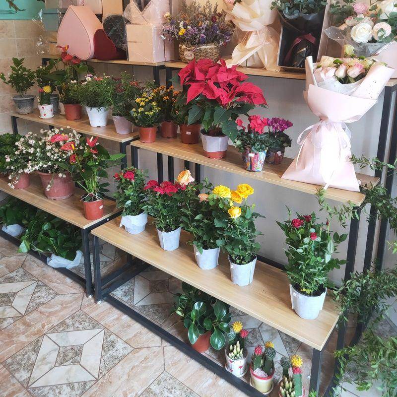 花约架鲜花多肉落地式盆架展HJ001示置架铁艺花店室内客花厅简阳