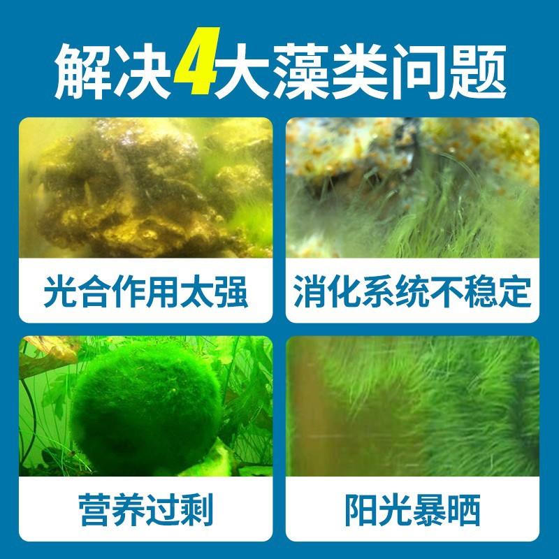 除清RB2021-1藻水鱼池鱼缸除藻剂去苔剂去绿青苔除剂水藻褐藻绿浮
