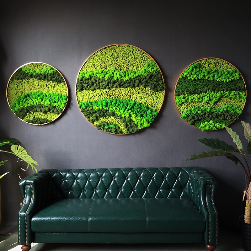 永生苔藓植物墙面装饰仿真青苔造景橱窗壁挂室内背景墙绿植定制