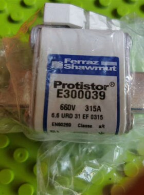 E300039 660B  315A   2个  熔断器