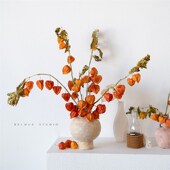 酸浆果干花植物果实插花花材配果酒店软装 大堂餐桌花艺摆件灯笼果