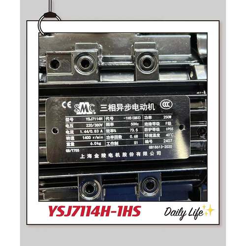 YSJ7114-1HS YSJ7114H-1HS 250W上海金陵电机/上海金陵雷戈勃劳伊