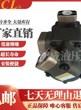 KCL台湾凯嘉VQ215XW-32-17-F-RARA-02-2叶片油泵