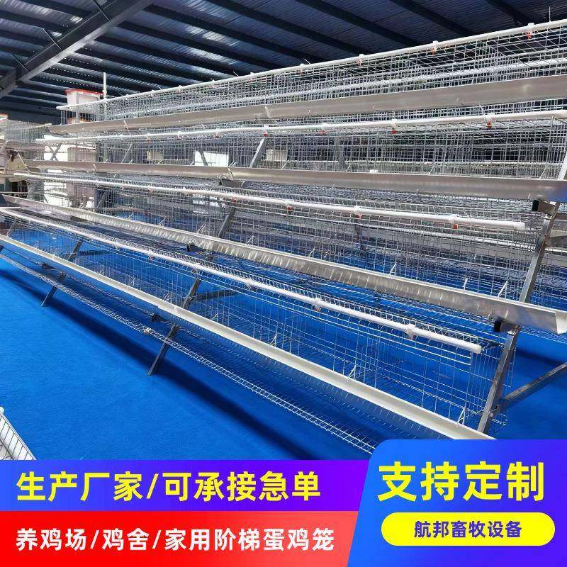 A型阶梯蛋鸡笼养殖设备三四层蛋鸡笼冷镀锌阶梯蛋鸡笼厂家,畜牧/养殖物资,特种养殖设备,淘宝优惠券,粉丝福利购,淘宝优惠卷