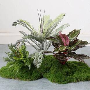 仿真绿植苔藓道微景组合室内厅观软装tb-75515假植客物造景橱窗过