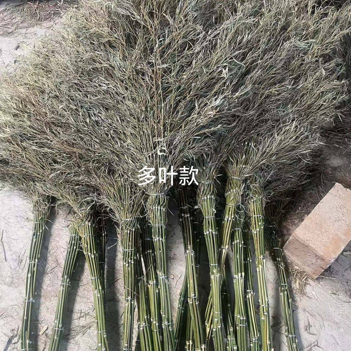 工地环卫竹扫把工人扫地扫帚建筑竹子扫把