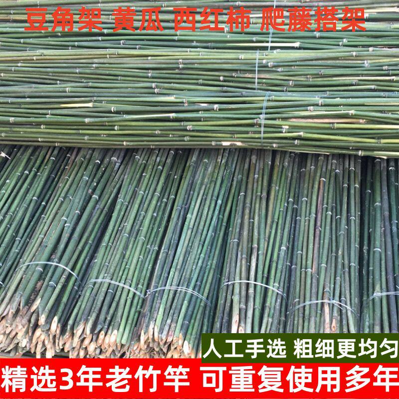 精选菜架竹杆架子蔬菜瓜果黄瓜豆角爬藤搭架杆防腐户外支架杆庭院