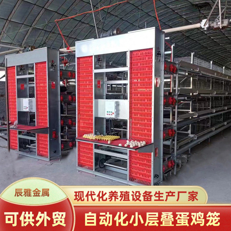 镀锌层叠蛋鸡养殖笼自动清粪H型式蛋鸡笼中小型养殖3层4层养鸡笼