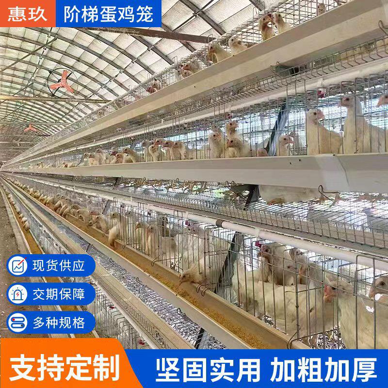 阶梯鸡笼蛋鸡养殖笼子组合全套养殖场多层笼养设备机械阶梯式立式