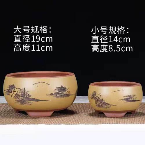 紫砂粗陶小花盆兰绿萝创意盆景多肉精致君子兰兰花仙人球桌面摆件