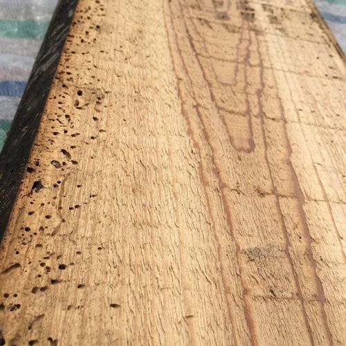 百年老杉木古琴板 古琴面板 杉木琴板 斫琴面板 古琴原材料