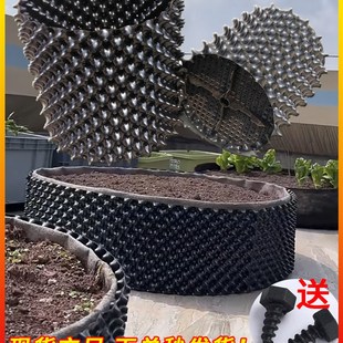 盆景果树生根器花盆加高控根器植树围植板排水板移苗育苗园林绿化
