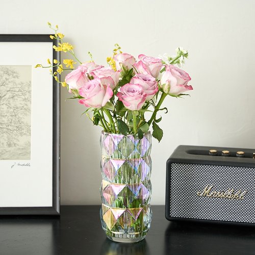 法式精致花瓶玻璃透明水养绿植鲜花餐桌客厅插花摆件小高级感装饰