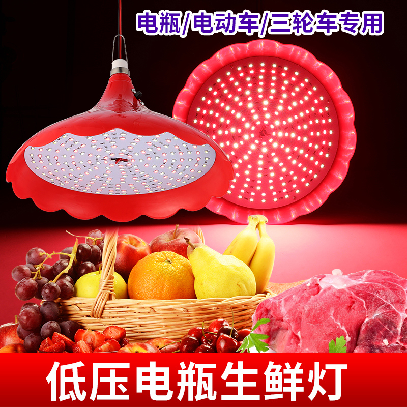 电瓶生鲜灯12v36v60vLED低压夜市摆地摊猪肉水果卤菜海鲜熟食灯泡
