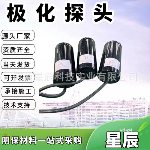 双试片极化探头 可测试断电点位抗干扰参比电极 PCCP管道阴极保护