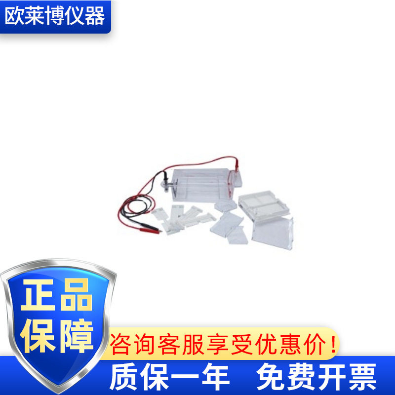 六一琼脂糖水平电泳槽DYCP-31DN电泳小号垂直电泳槽