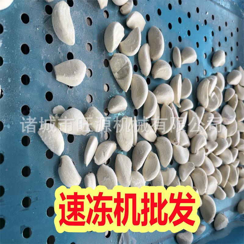 不钢速冻隧道食线品级流水速冻备设商用425锈工业速冻机