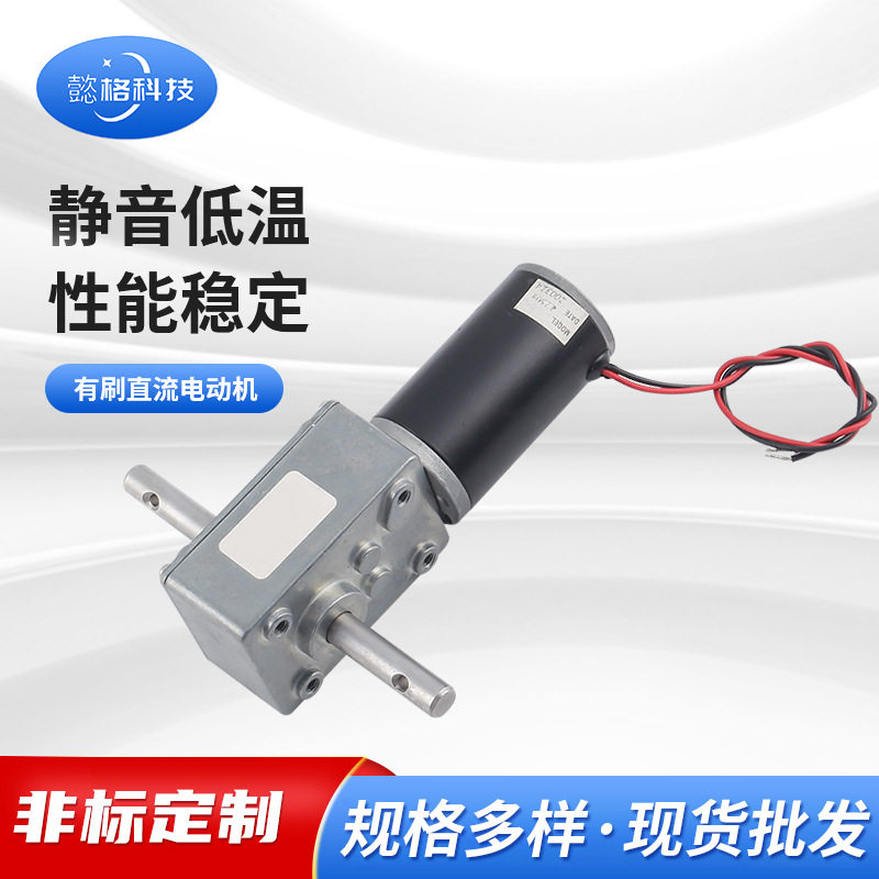 批发家用电器蜗轮蜗杆马达电动按摩器猫砂盆减速直流电机小马达
