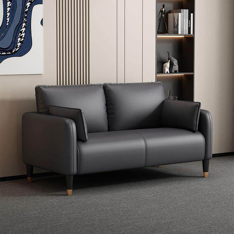 装猫爪皮发NJB客厅小户型约现代公寓轻奢卧室出租房双人简三人沙