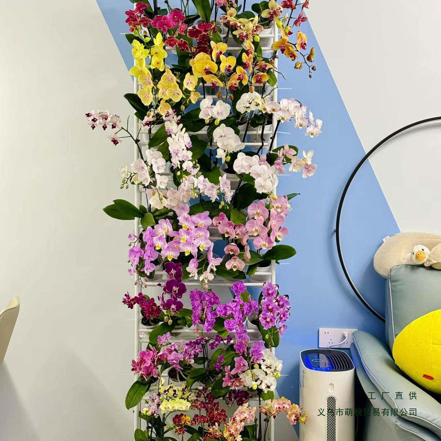 落式蝴蝶兰UMB花架国兰石斛兰多层用阳家轮台带可移动花店植物架