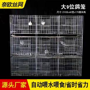棚号9位鸽元宝笼养殖大场专用信鸽配QVO对繁殖鸽笼三层鸽舍元宝鸽