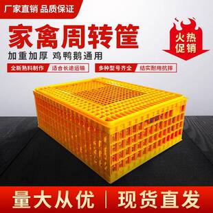 鸡笼XOQ料家禽运输鸡笼子周转箱大笼号加厚鸡鸭塑鹅鸽兔运输形方