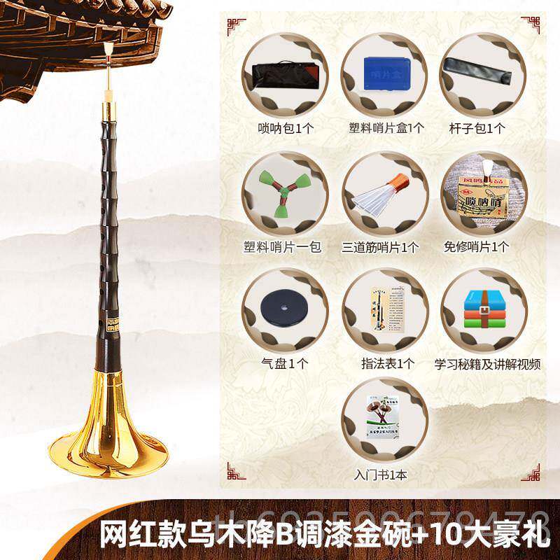 正品王家彪网考红乌木唢专呐乐器初学者全套民族喇叭d调降调入门B