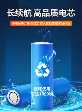 机电动割草机48V电锂电池背包32249AH采茶机绿篱机林工具除草园锂