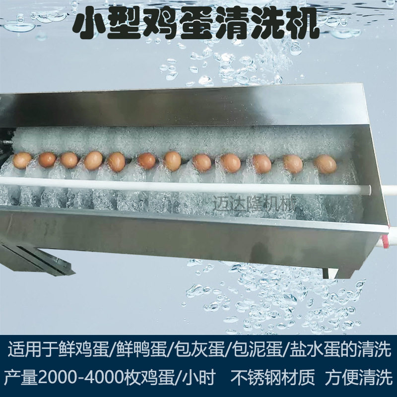 小型多功能自动不锈钢鸡蛋清洗水洗机清洗效率高价格优惠质量保证