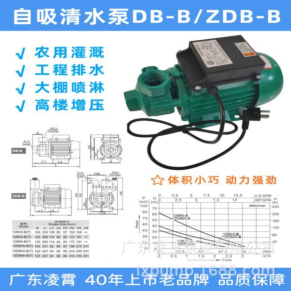 自凌霄清水泵增压吸泵农用617用灌溉工业压电动家BD/ZDB/