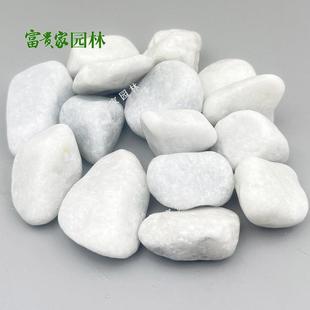 356鱼机缸垫层室展台白石园铺路点缀制内白林石盆栽铺面白色鹅卵