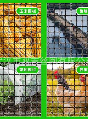 塑料护栏加厚养网殖网家专用OWD农村养鸡漏粪用果园园菜圈地围栏