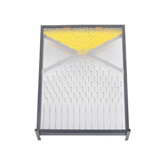 厂家供应道尔顿板伽顿板高中尔物理教具849专业教学仪实验室器器