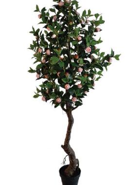 仿真茶花人造塑料观AL-62053树栽盆橱窗装造景软摆件景仿真茶花树