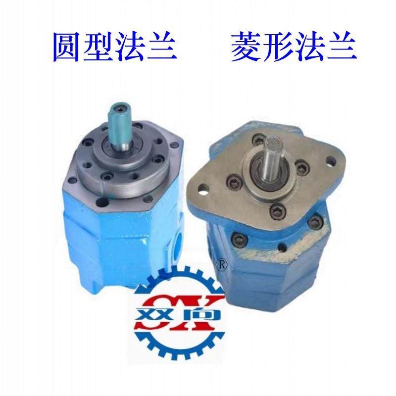 双向牌摆线齿轮油泵BB-B4AABBB6-BB677-B1-0ABBB16A摆线齿轮泵