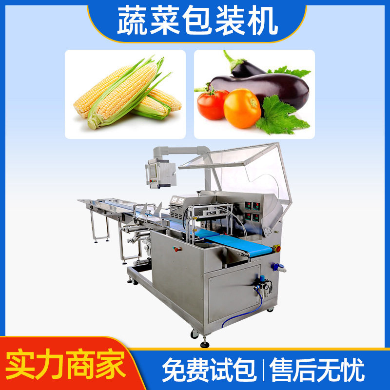 源头厂家日用品枕式包装机