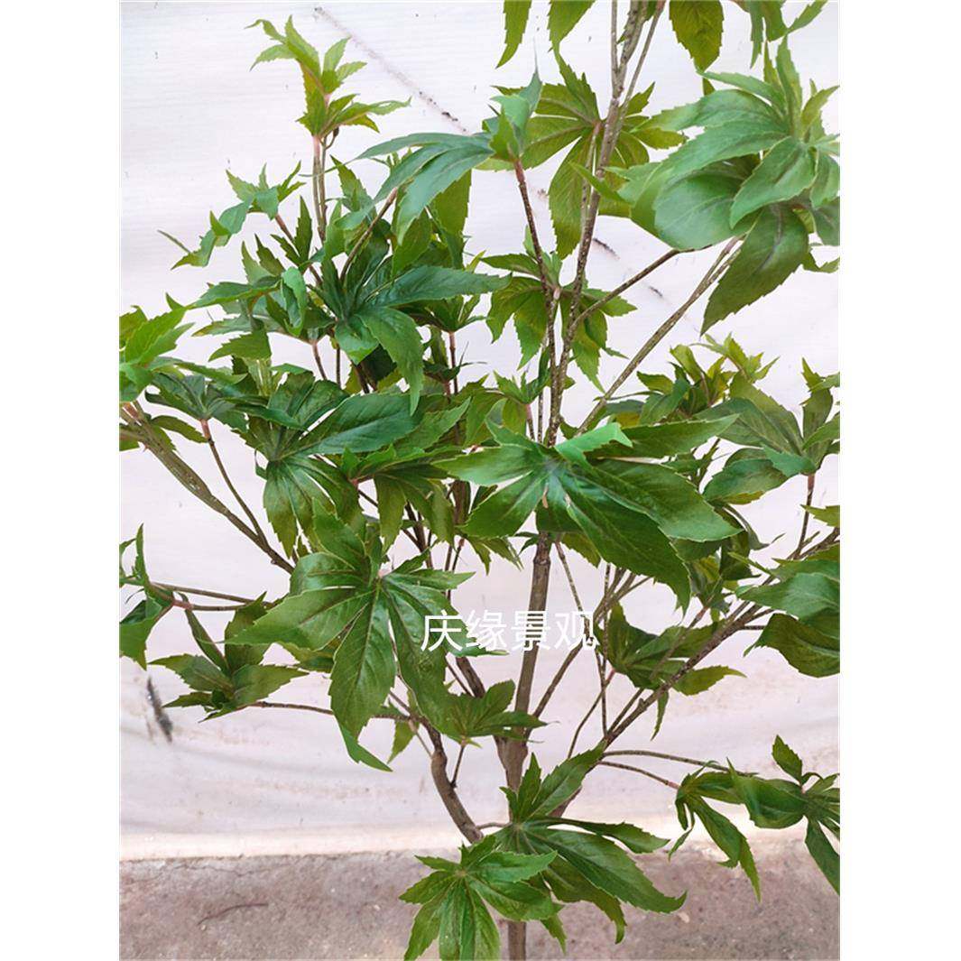 仿真蓖麻树乌桕树紫荆树假树农家乐落地盆栽植物室内景池造景庭院