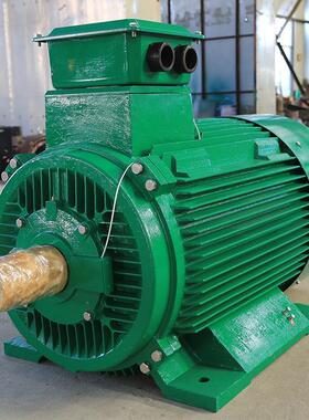 50kw100低速永磁发电机w100k-1发000kw风力机水力发电电机