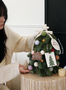 F78T7M9S205假款圣诞树家用客厅桌面小型树摆2件圣诞节新装饰品