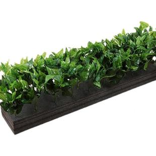 假花绿花装饰花箱槽售楼餐厅隔断套装商业F76695H8部街盆栽植店铺