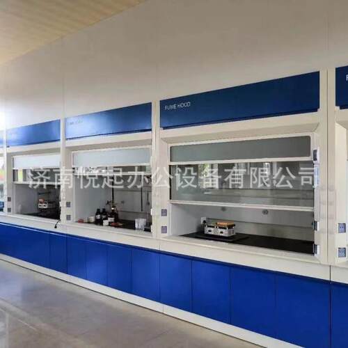 理化实专用/全验通风柜/通风橱桌上型钢落地式排风柜YQ-20259可批