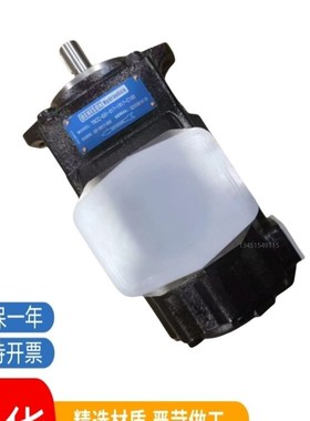 丹尼逊DENISON双联叶片泵柱塞泵T6C-014-2R01-B1 T6DC/T6EC/T6ED